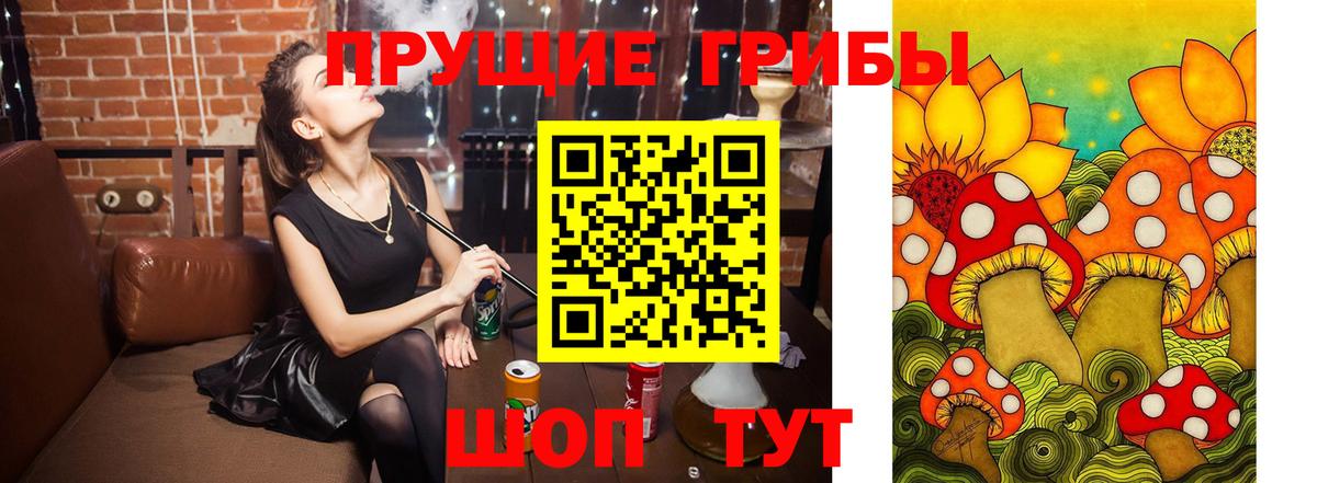 Галлюциногенные грибы Psilocybine cubensis  Вход с VPN  Дедовск 